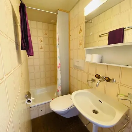 Hotel Christina Wilderswil Extérieur photo