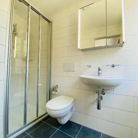 Hotel Christina Wilderswil Extérieur photo
