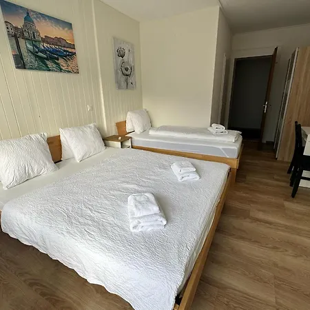 Hotel Christina Wilderswil Extérieur photo