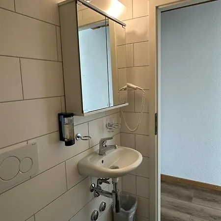 Hotel Christina Wilderswil Extérieur photo