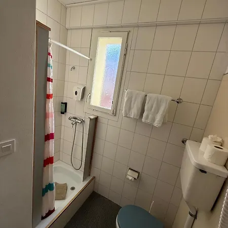 Hotel Christina Wilderswil Extérieur photo